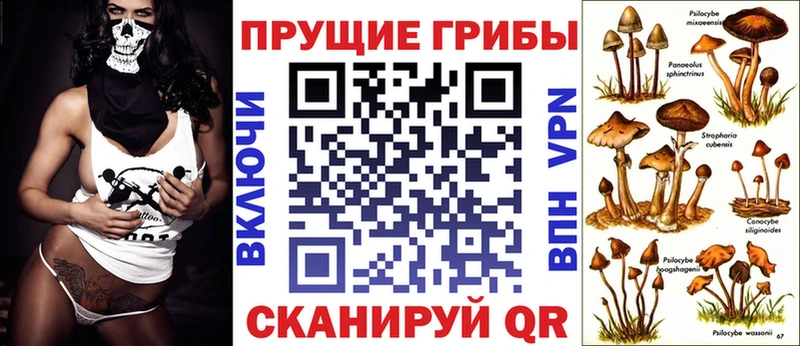 Псилоцибиновые грибы мухоморы  наркота  Щёкино 